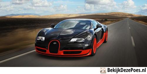 1. Der Bugatti Veyron 16.4 Super Sport - 431 km/h