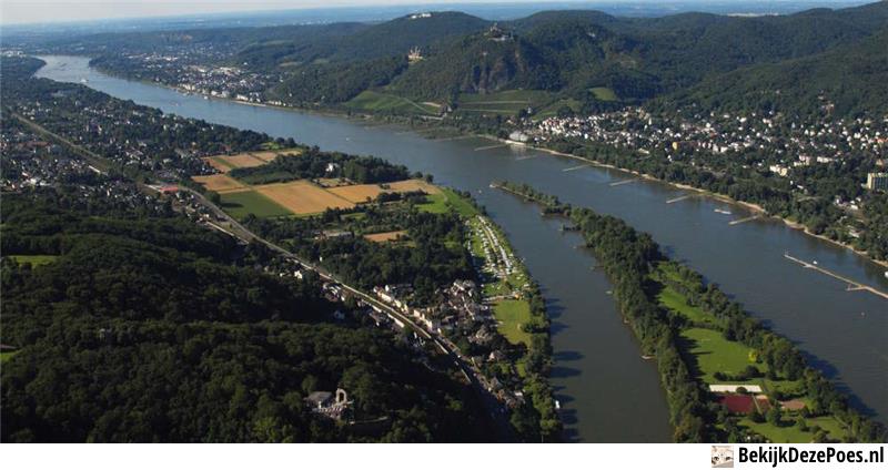 1. Rhein