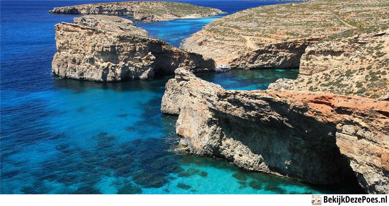 Comino